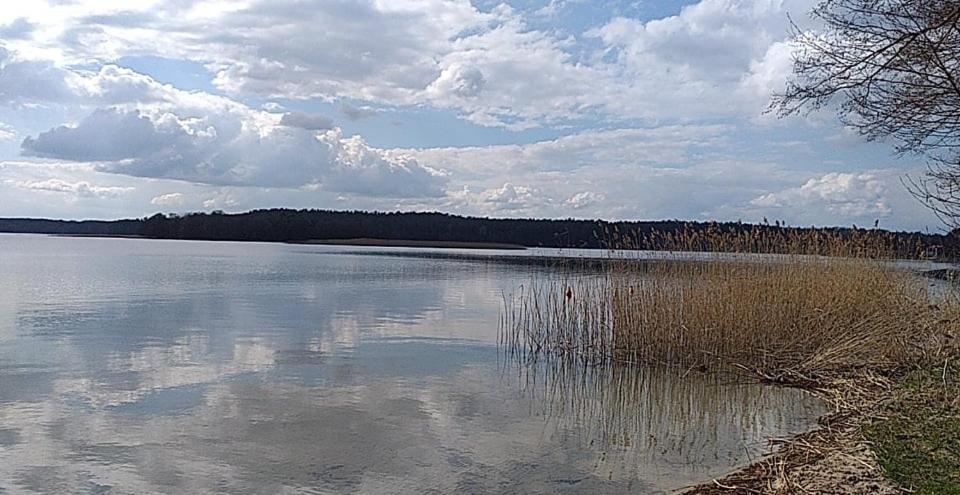 Cztery Pory Warmii Pluski Pokoje Do Wynajecia Apartment Luaran gambar